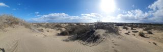 2023-GC--Mapalomas dunas-S123-077.jpg